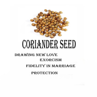 Coriander Seed (Κοσμπάρα)