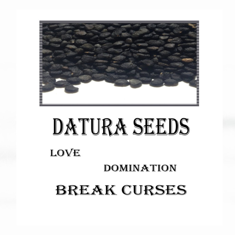 Datura Seeds - Τάτουλα