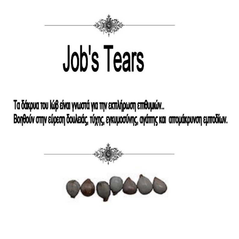 Job's Tears (Δάκρυα του Ιώβ)